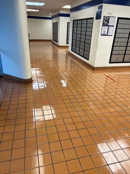 Floor Cleaning Services in Holly Springs, NC (3)